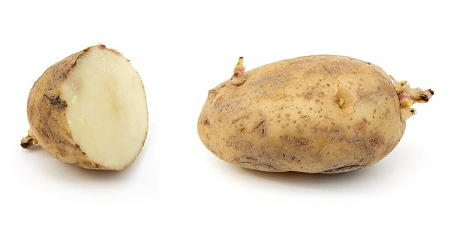 poisonous potato