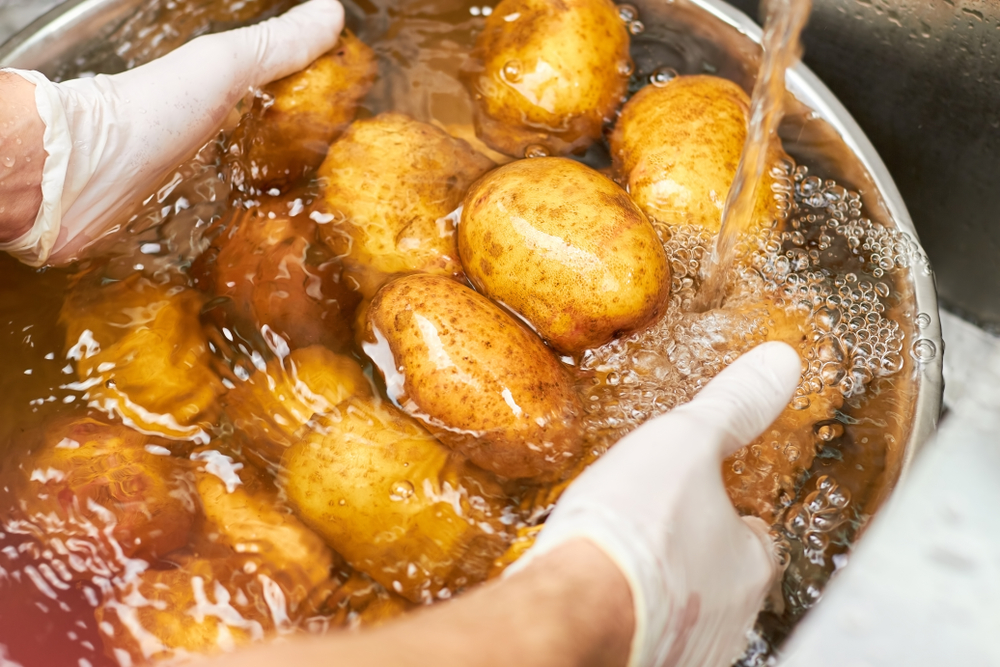 Washing potatoes piles under running water. Close up chef hands washing heap of potatoes in metal basin.
