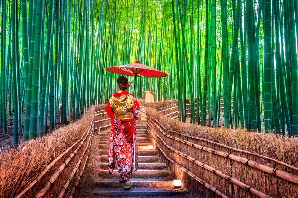 Bamboo Forest. Asian woman wearing japanese traditional kimono at Bamboo Forest in Kyoto, Japan.