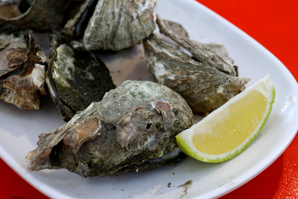 Grilled Oyster with shell and lemon
