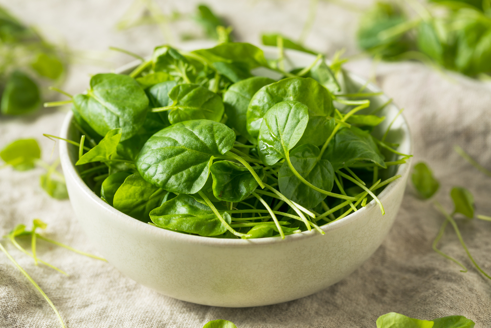 Raw Green Organic Watercress in a Bowl