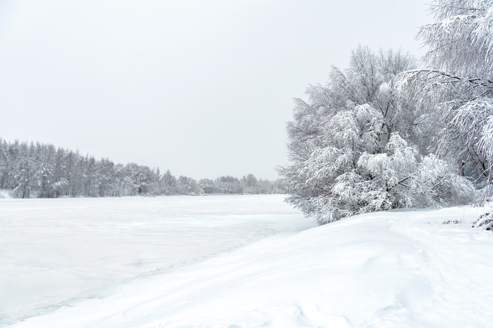 Winter forest landscape, snowy ice river during snowstorm for background. Scenic view of trees under snow and sky. Concept of seasonal weather, Siberia, forecast, frozen white nature and climate.