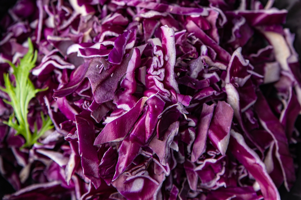 purple cabbage salad vegetable dish healthy meal food snack on the table copy space food background rustic top view keto or paleo diet veggie vegan or vegetarian food