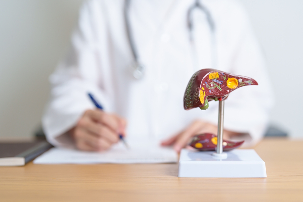 Doctor with human Liver anatomy model. Liver cancer and Tumor, Jaundice, Viral Hepatitis A, B, C, D, E, Cirrhosis, Failure, Enlarged, Hepatic Encephalopathy, Ascites Fluid in Belly and health concept
