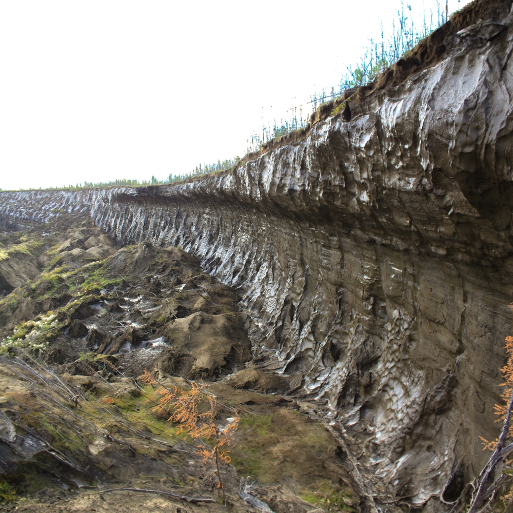 Permafrost wall in "Batagayka" site
