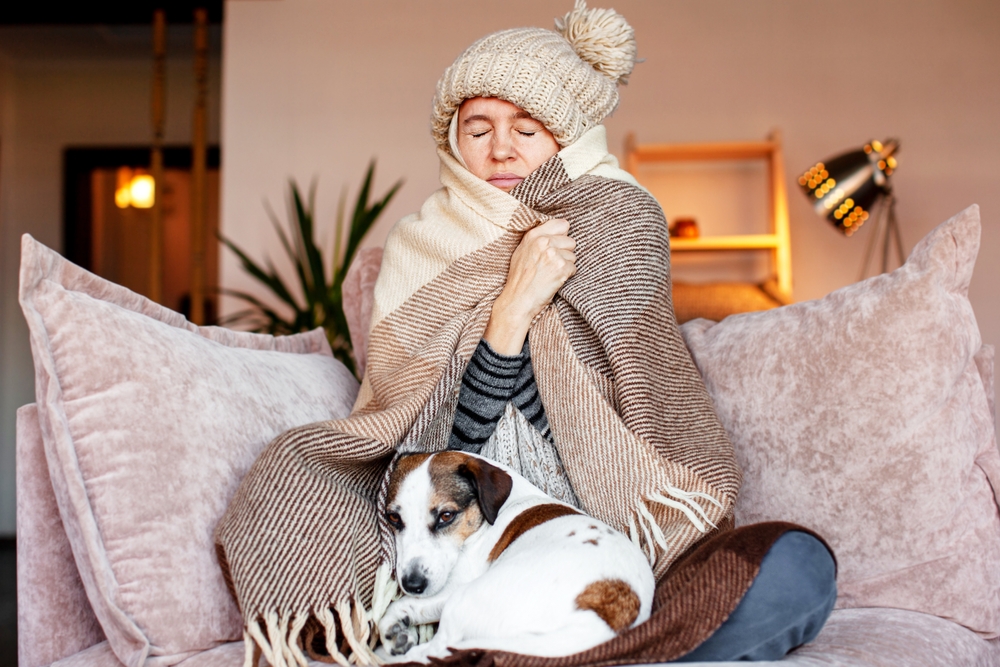 Dull middle aged woman save herself from freezing wear winter clothes muffle up in blanket think of buying radiator heater. Shivering young lady sit on sofa in plaid ponder on much too cold at home