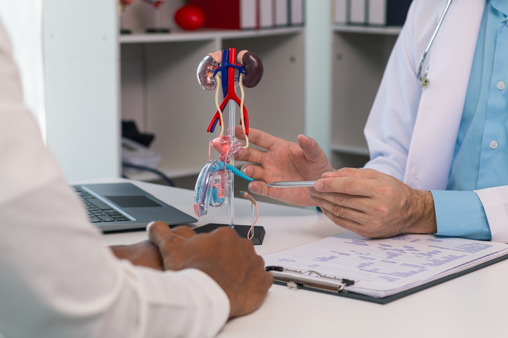 Doctors are counseling prostate cancer patients and using model of the penis to provide an example for prostate cancer patients about future symptoms and treatments. Prostate cancer treatment concepts