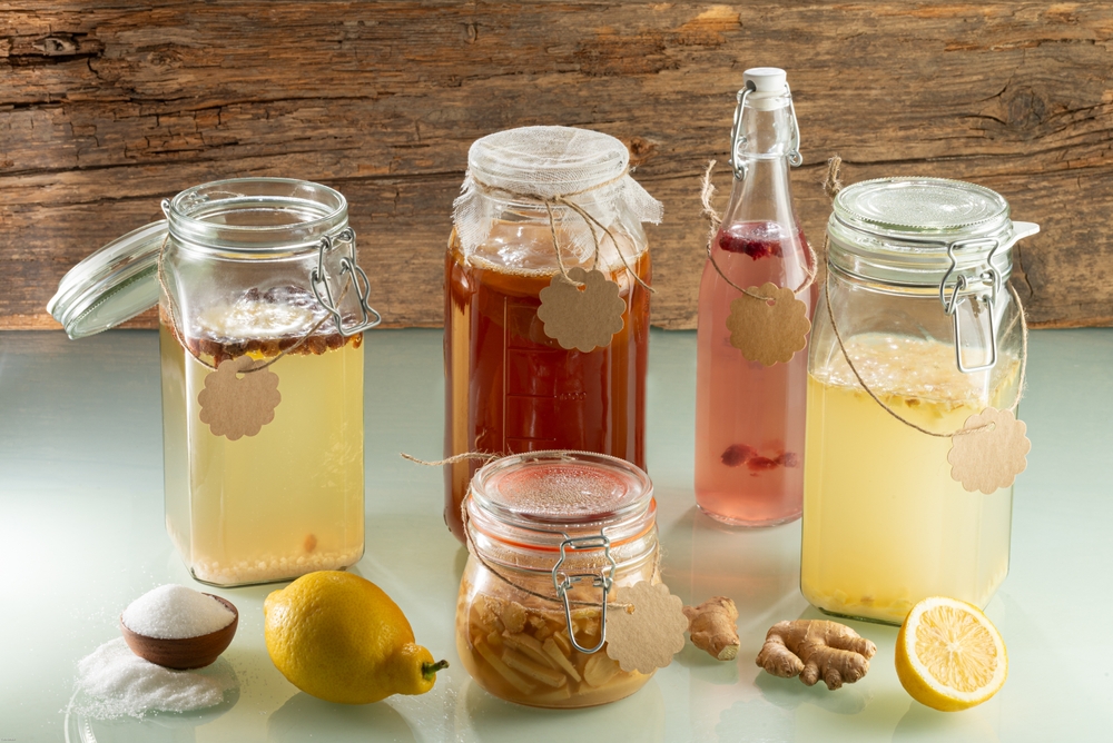 Fermented probiotic beverages - Water Kefir, Kobucha, Ginger Ale, Ginger Bug - cardboard signs