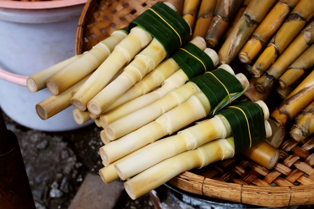bamboo shoot pickle vegetable local street food Thailand