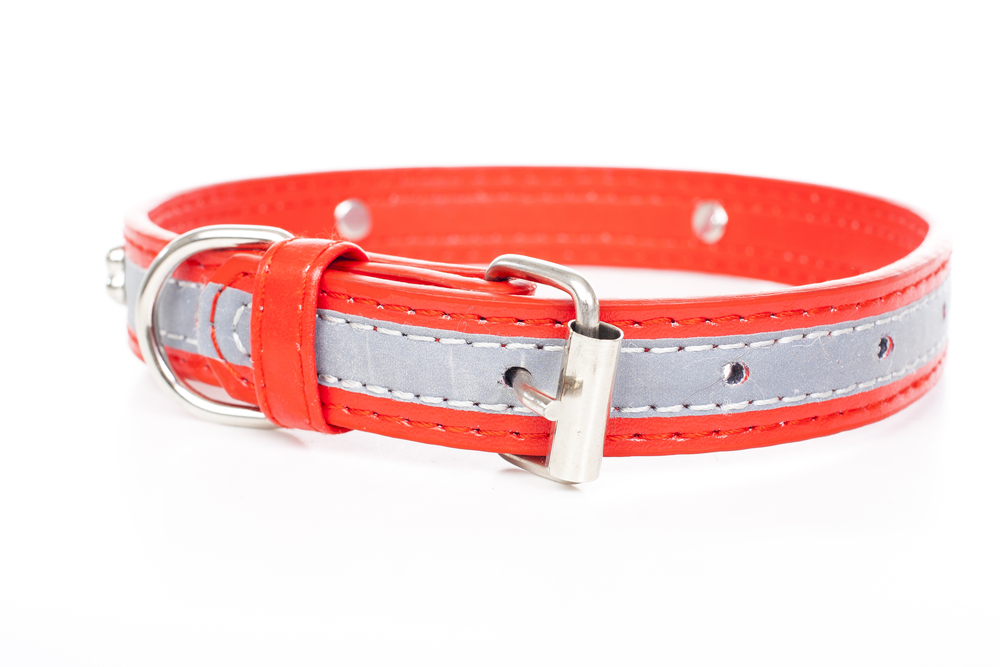 Reflective dog collar to avoid accidents