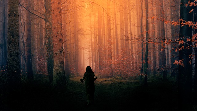 woman in forest