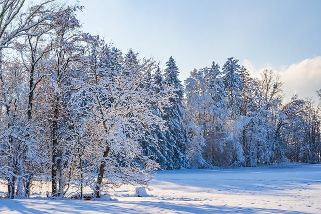 cold weather