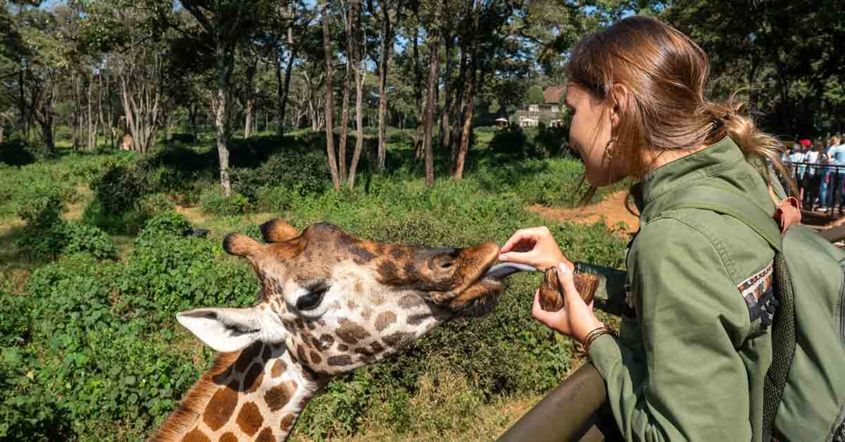 8 Times People Have Done Stupid Things At The Zoo