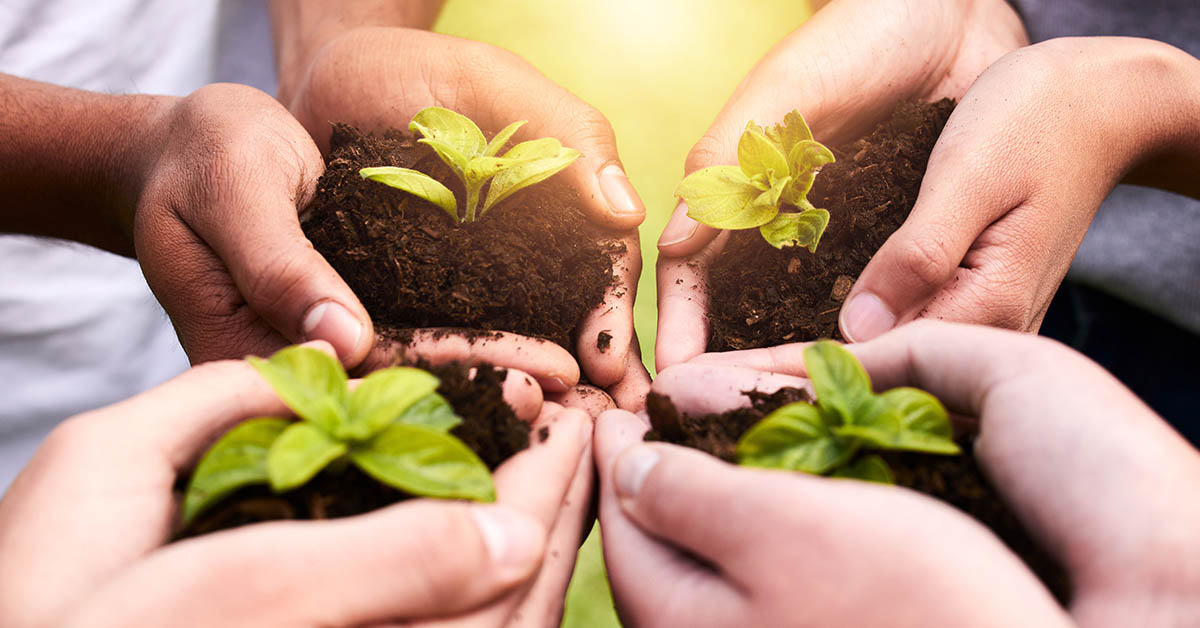 Atlanta Turns 7-Acre Vacant Lot into Largest Free Food Forest In the Country