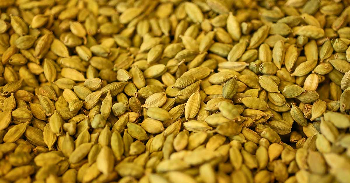 8 Healthy Reasons to Add Cardamom to Your Diet
