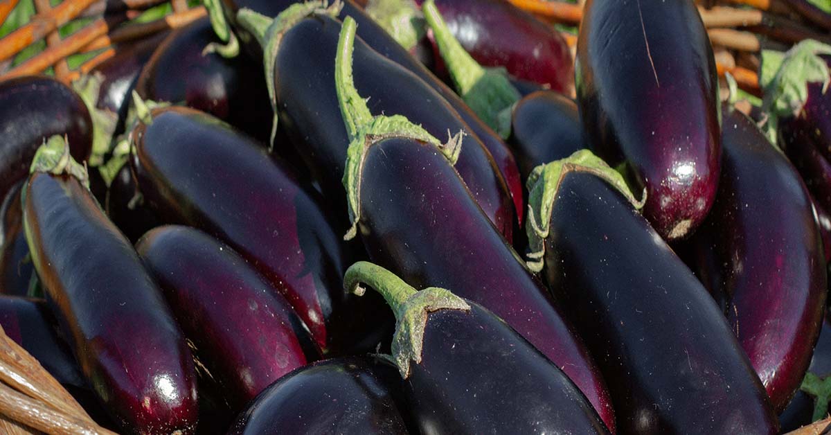 Reasons You Should (and Shouldn’t) Eat More Eggplant