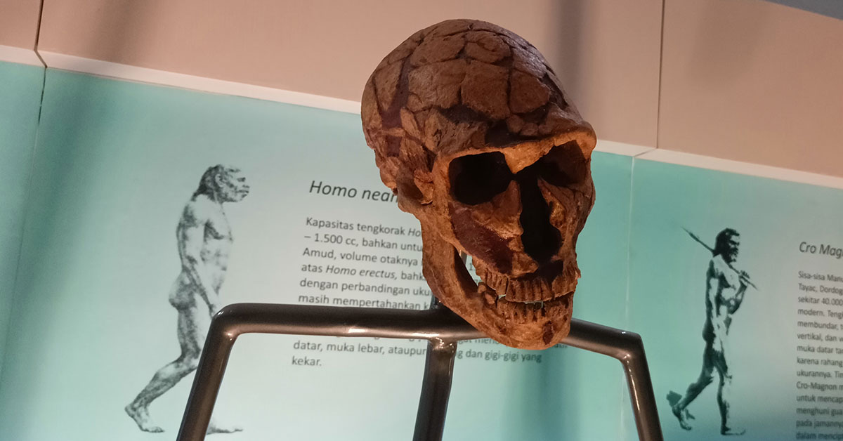 Incredible Find: 6-Year-Old Discovers 50,000-Year-Old Neanderthal Axe on Beach