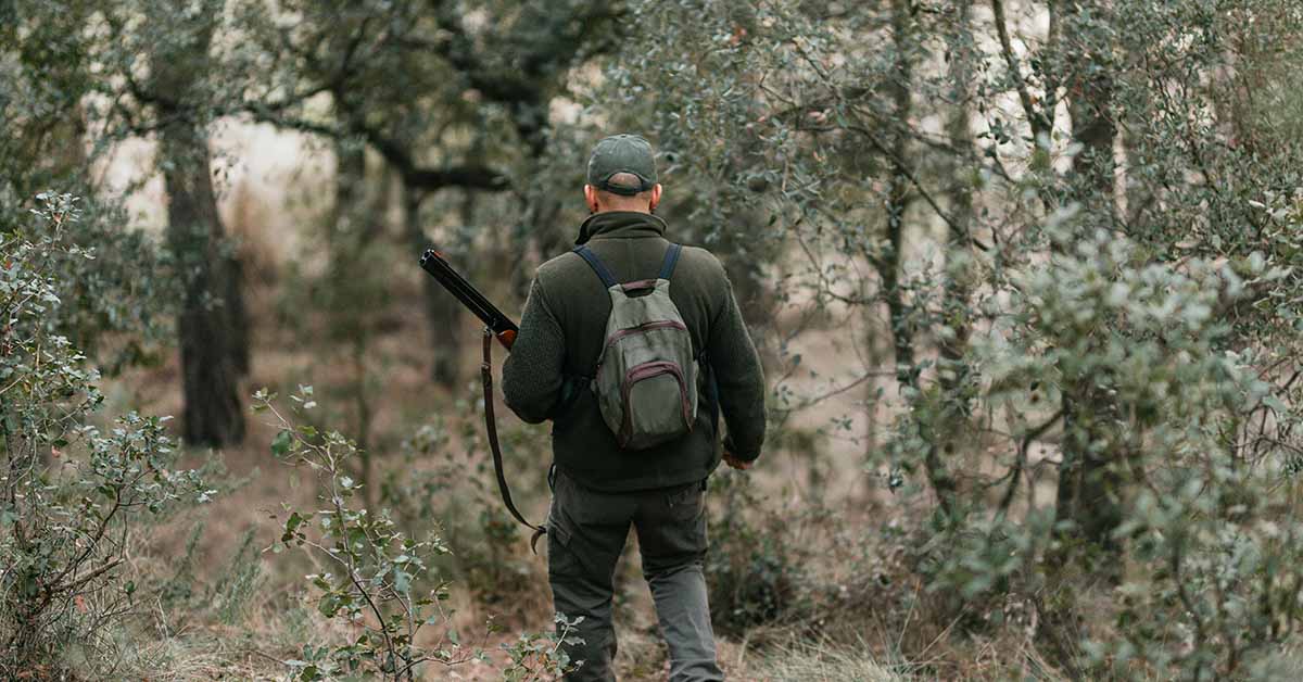 Hunter Dies After Bear Shot in Tree Crashes Down on Him