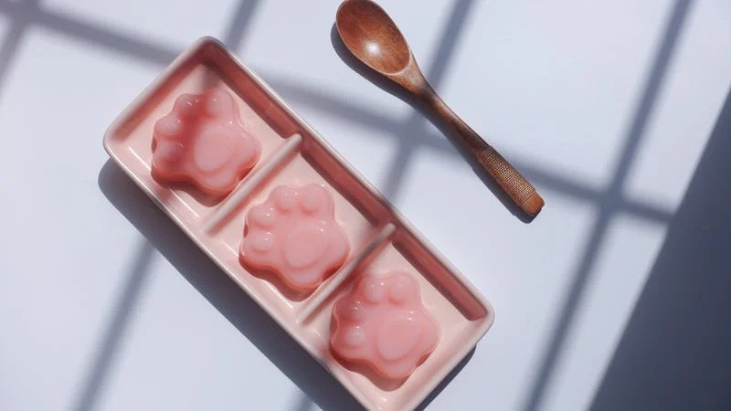 homemade paw-print shaped gelatin