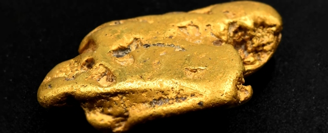 The large gold nugget, nicknamed "Hiro's Nugget," weighing 64.8 grams. 