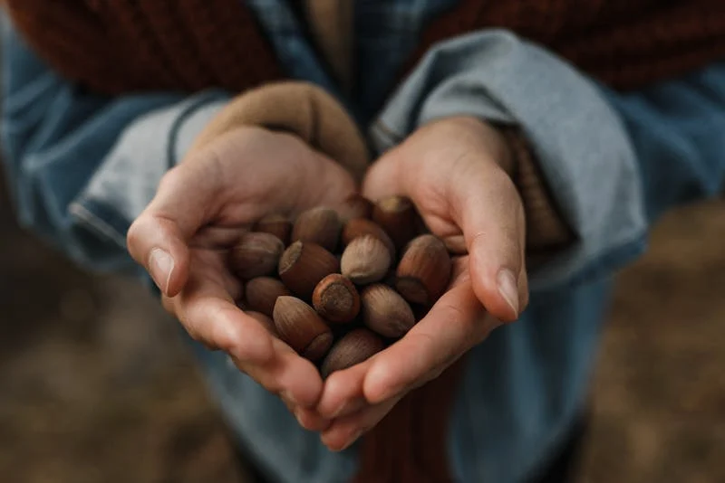 a handful of nuts