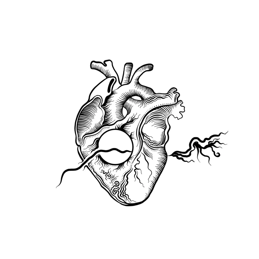 black ad white drawing of a heart