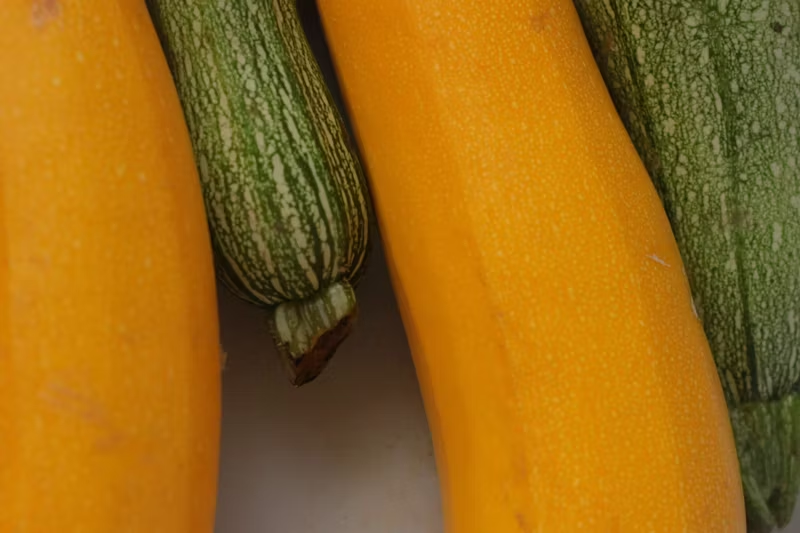 close-up of zucchinis 