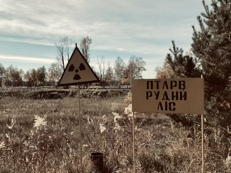 nuclear field