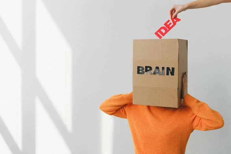 cardboard box brain getting a single idea