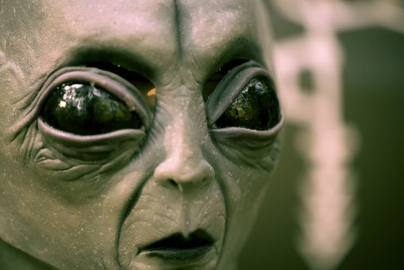 close-up of an alien face
