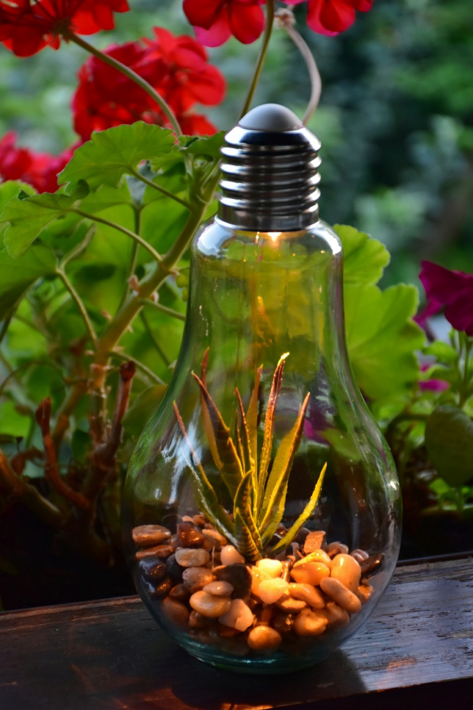 a repurposed lightbulb