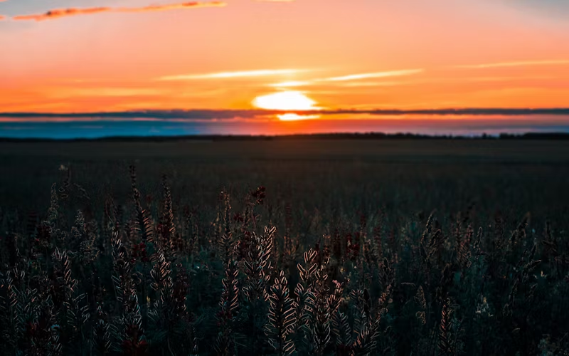 the sunset on the horizon