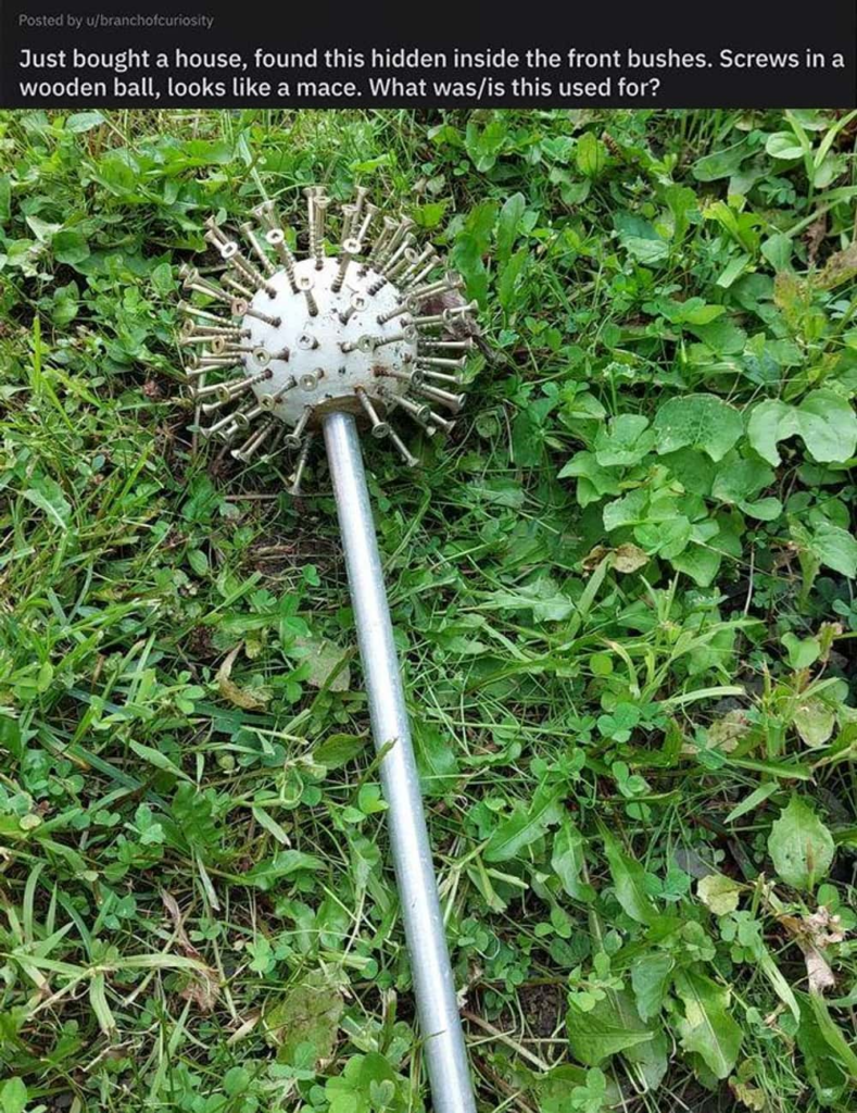 Weird pole found in the bushes
