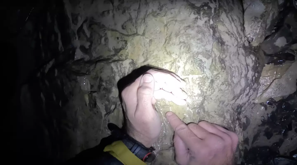The team made an incredible discovery 