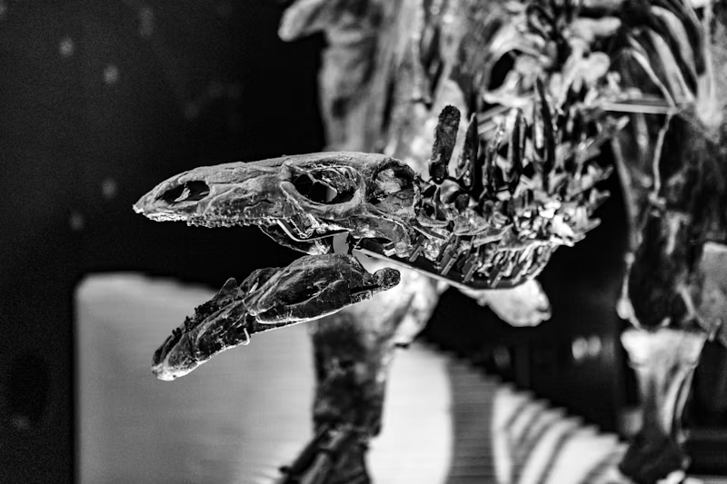 animal science museum exhibit