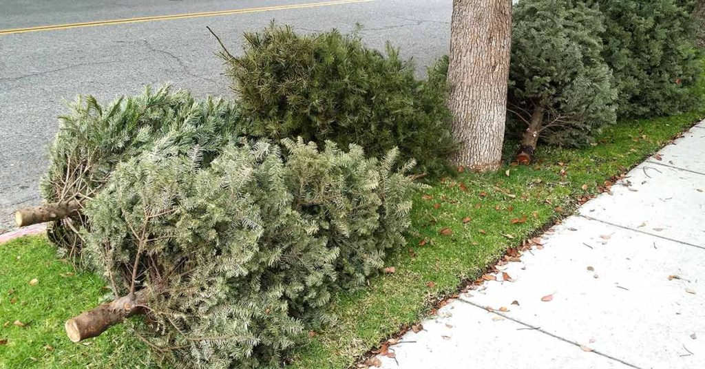 Did You Know That It’s Actually Tradition To Leave Your Christmas Tree Up Until January 6? Here’s Why.