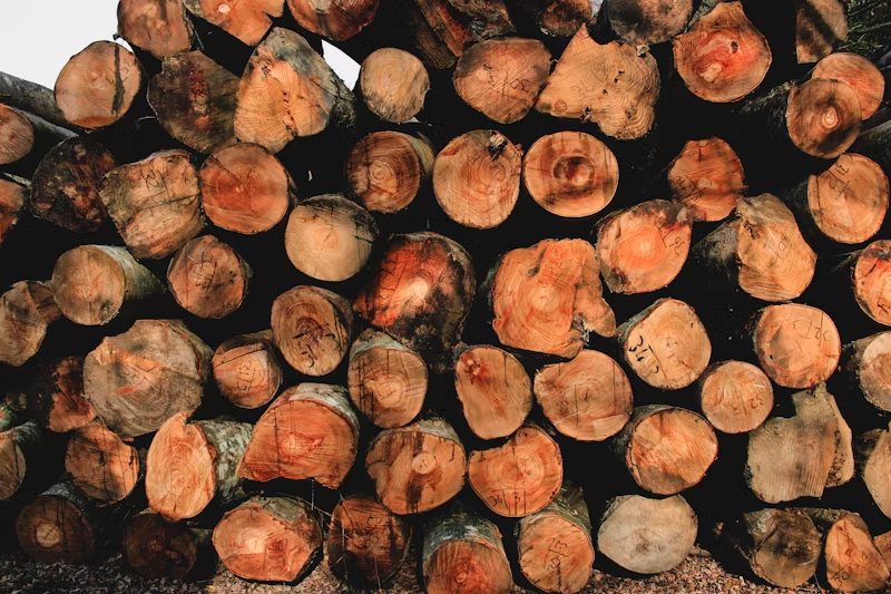 a pile of logs 