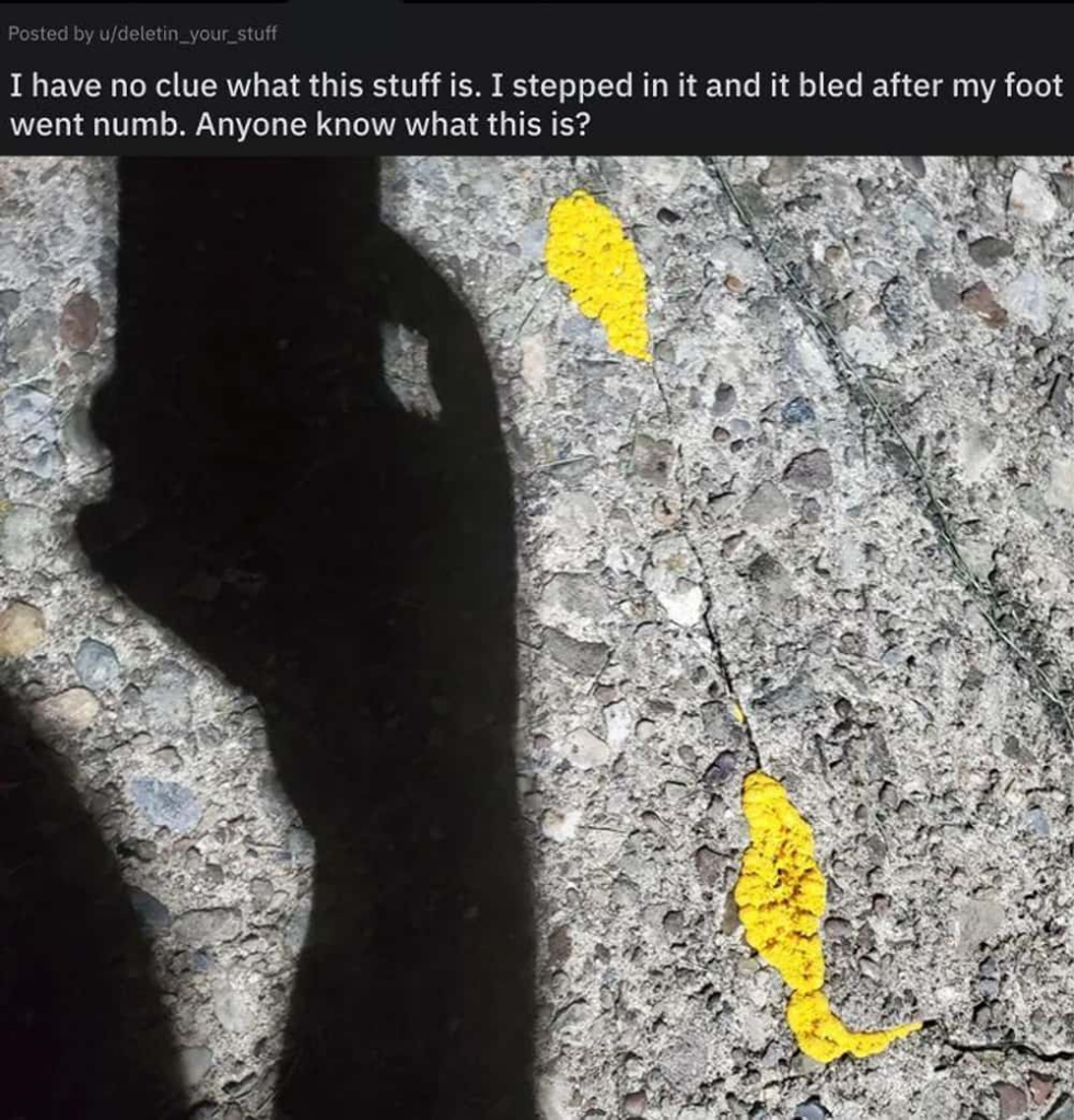 A yellow goop
