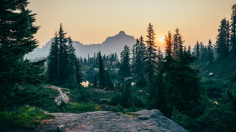 forested area with a mountain range behind