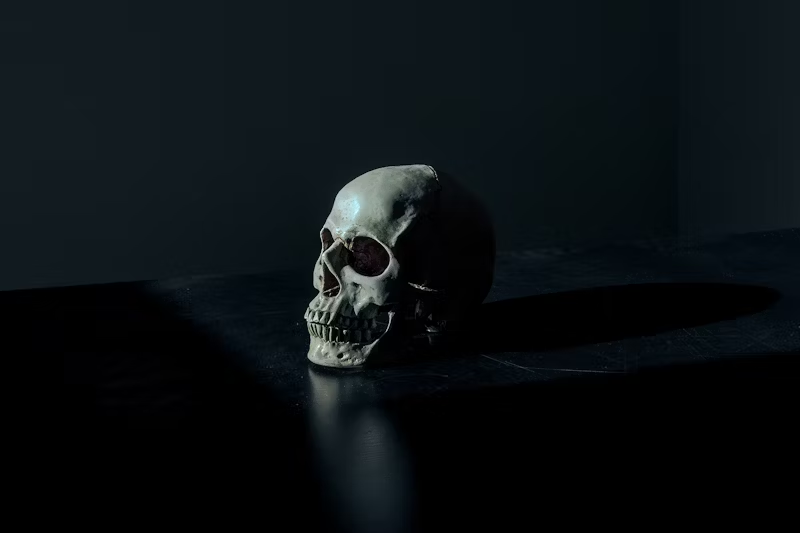 a skull