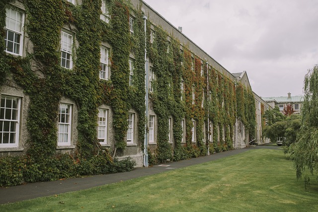 university