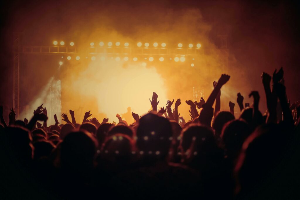 people at a concert 