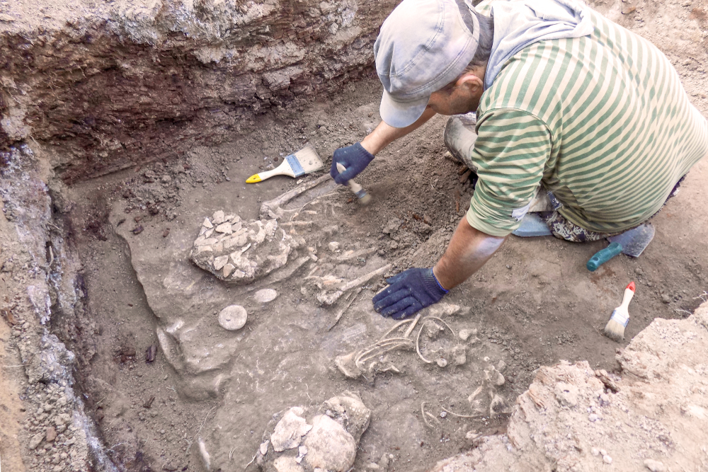Archaeological excavation. The archaeologist in a digger process, researching the tomb, human bones, part of skeleton and skull in the ground. Real digger process. Outdoors, copy space.
