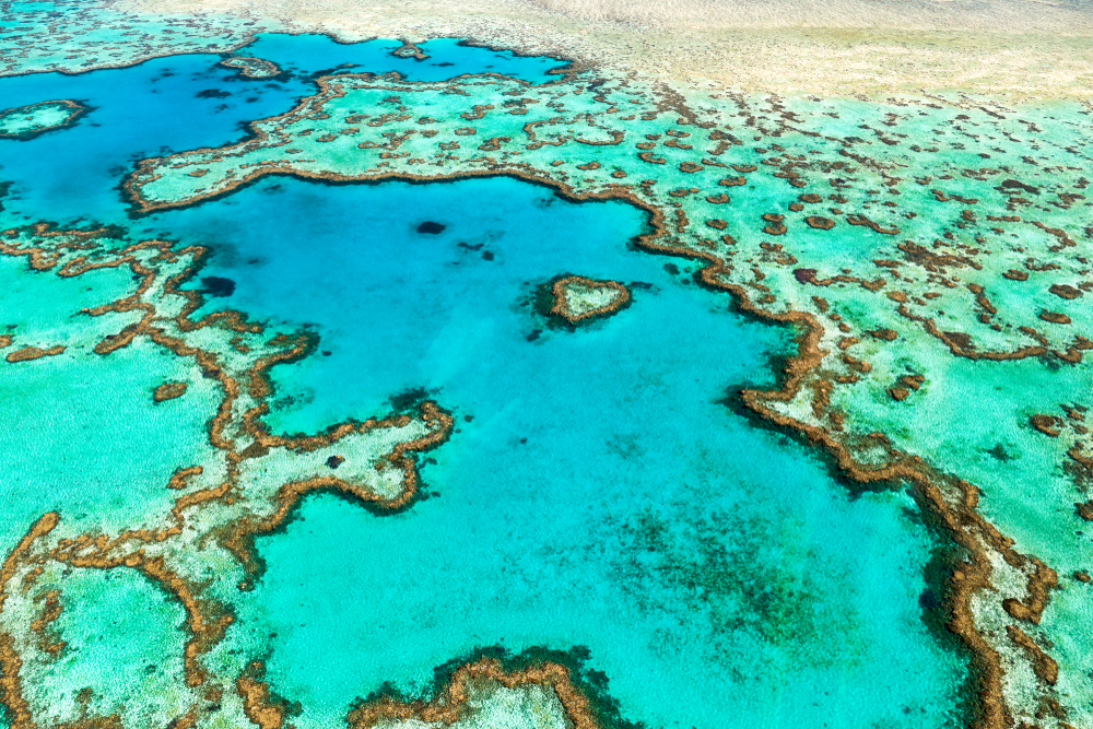 Great Barrier Reef. Heart Reef. Whitsundays. Queensland Australia
