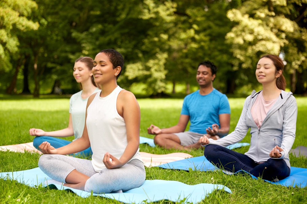 fitness, sport, yoga and healthy lifestyle concept - group of people meditating in lotus pose at summer park
