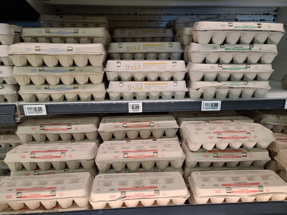 Liverpool, NS, CAN, September 15, 2022 - A freezer filled with cartons of eggs at a grocery store.