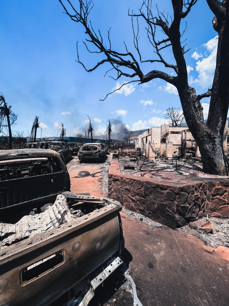 Deadly fires in Lahaina Maui
