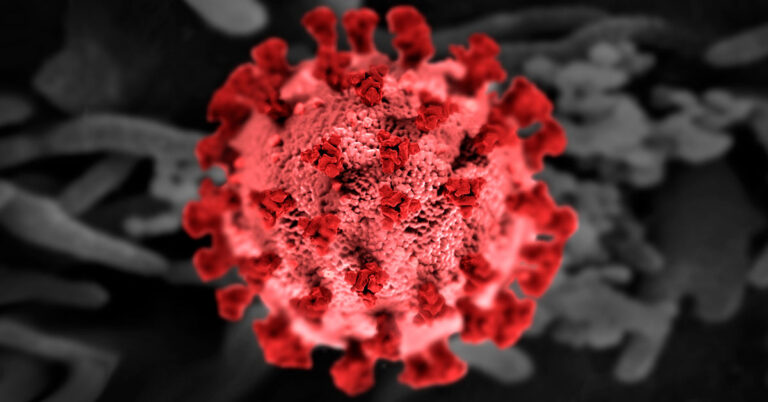The New Leading Infectious Disease: COVID-19 No Longer Top of the List - Featured image