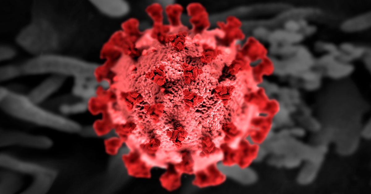 The New Leading Infectious Disease: COVID-19 No Longer Top of the List