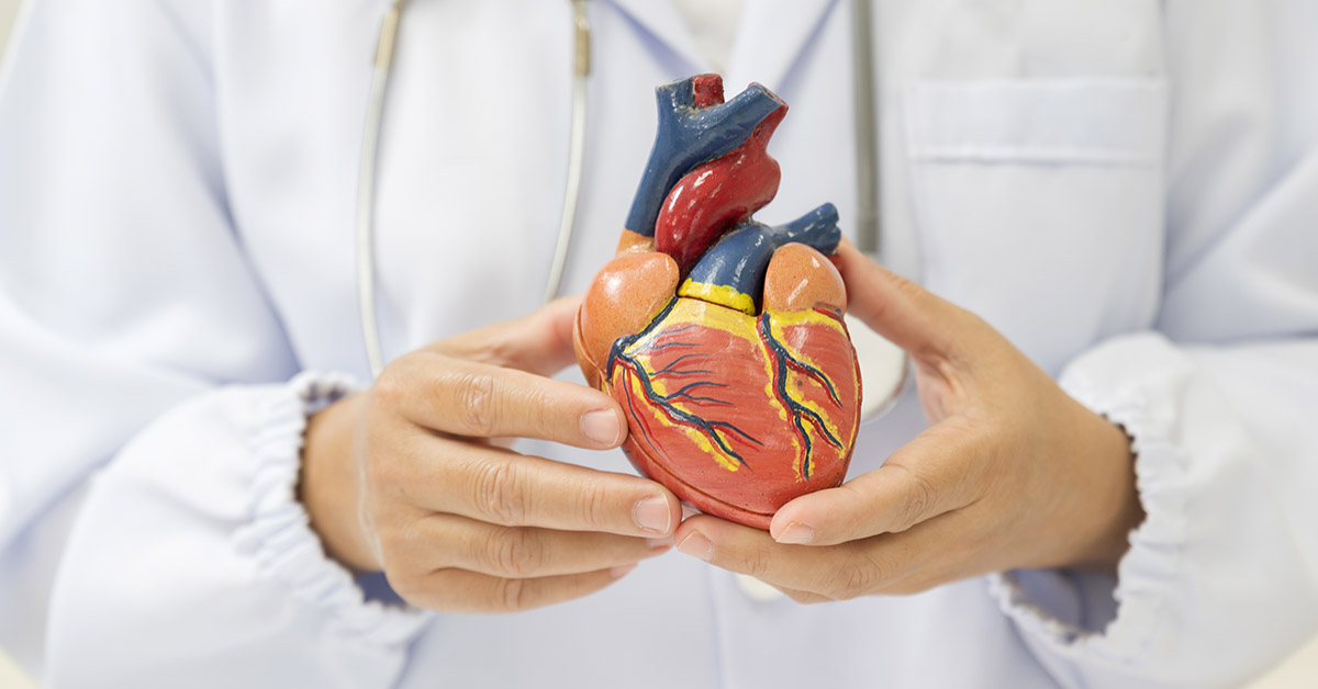 Heart Failure Could Be Reversed as the Human Heart May Have Self-Healing Abilities